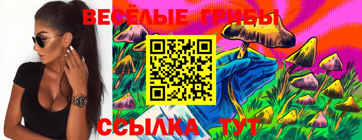 что такое   Галлюциногенные грибы MAGIC MUSHROOMS  Псилоцибиновые грибы Magic Shrooms  Вход с VPN  Партизанск 