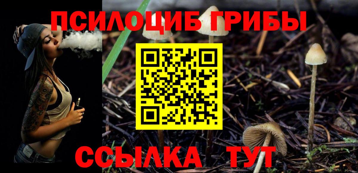 Псилоцибиновые грибы Psilocybine cubensis Партизанск